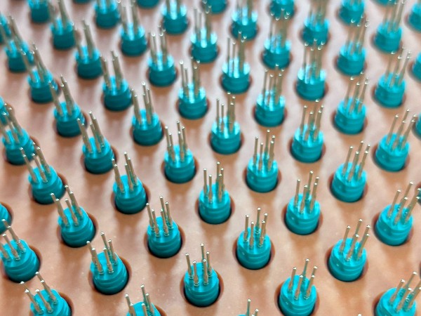 IMG_5510