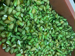 飾品行業零件自動整列案例